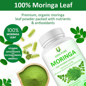 Capsules de Moringa en poudre en vrac de marque privée d'approvisionnement d'usine hautement biologique naturel 100% organique - Product Image 3