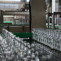 Frasco de Vidrio Vacío Personalizado de Gran Capacidad a Precio Económico, Producción de Fábrica, con Tapa Metálica para Alimentos