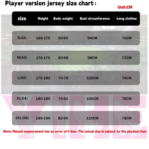 ユニセックス ユース 大人 レトロ サッカー 刺繍入りTシャツ 新作 スポーツファンジャージー 100% ポリエステル 通気性 フロントロゴ ナショナルチーム - Product Image 6