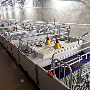 Cage de mise bas double avec mangeoire centrale pour 2 truies, à lattes en acier en V, réduit la perte d'aliments, économise 30 kg d'aliments/truie/lotation pour les paires - Product Image 1