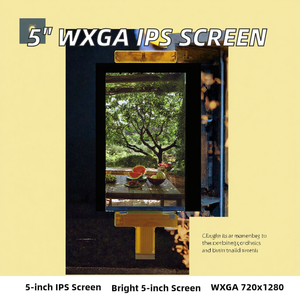Brand High Brightness 5-Inch WXGA 720*1280 TFT LCD Display Screen with IPS Panel ILI9881C MIPI Interface - Product Image 2