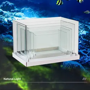 Hot Bending Glass Fish Tanks High Quality Fish Tank 5 In 1 Fish Tank Aquarium