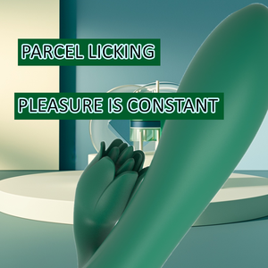 Vibrateur Lapin Point G pour Femmes, Stimulateur Double Clitoris et Tétons, Masseur Vaginal 2-en-1, Godemiché Masturbateur pour Jouets Sexuels Adultes - Product Image 4