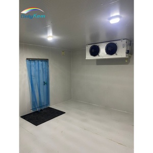 Cámara Frigorífica de Acero Inoxidable con Panel Sándwich de PU, Alimentada por Energía Solar, para Congelación de Carne y Pescado - Product Image 3