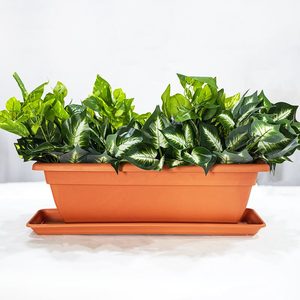 Balcony rectangular trough plastic flower <strong>pots</strong> <strong>for</strong> plants <strong>herbs</strong> - Product Image 5