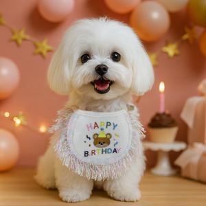 Accessoires pour animaux de compagnie (chiens et chats) pour Halloween/Noël : collier-écharpe en ruban floral coloré, doux, à séchage rapide, durable - Product Image 5