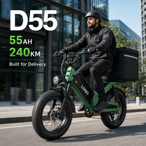 Bicicleta Eléctrica de Reparto D55, 750W, E-MTB, Neumático Grueso de 20'', 48V55Ah, 240km de Autonomía, Fabricante de Bicicletas de Carga OEM, Venta al Por Mayor - Product Image 1