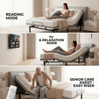 Cadre de lit électrique ergonomique en métal avec assistance à la levée, base de lit réglable pour personnes âgées, pour la vie autonome et les soins à domicile