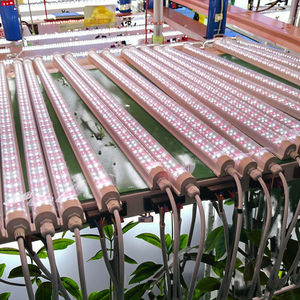 T8 משולב 15-36w ספקטרום מלא הוביל הידרופוני לגדול מנורת אלומיניום גוף עבור ירקות מקורה & חקלאות פירות, ip65 מדורג - Product Image 6