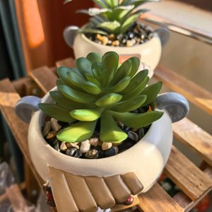 Maceta para Suculentas ROOGO con Figura Decorativa de Tienda, Decoración Kawaii, Regalo Popular para Amantes de las Plantas - Product Image 2