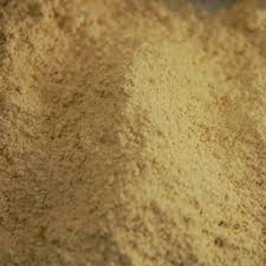 Best Quality Organic Astragalus Extract Cissus Quadrangularis (Hadjod) Powder <b>Fruit</b> Leaf Part Used India Best Price Supplements - Product Image 2