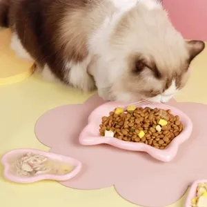 Ciotola in ceramica ecologica per animali domestici ciotola cibo per cani Anti-caduta solido moderno ovale rosa durevole blu facile da pulire per l'alimentazione - Product Image 2