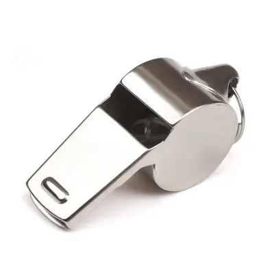 Stainless Steel Whistle with Lanyard Great for Coaches Referees and Officials