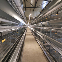 Cage à poulets automatique de type H, entièrement galvanisée à chaud, équipement d'élevage avicole pour la production d'œufs