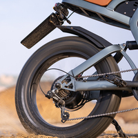 Bicicleta eléctrica de montaña de alta calidad, personalizada, fabricante de China, 36V/48V, 250W/350W/500W/750W, nuevo diseño
