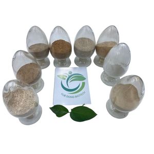 Kağıt Hamuru Beyazlatma Xilanaz Amilaz Kağıt Enzimi Sarı-Kahverengi Toz 20000u/g Aktivite Seviyesi PH 6.0-8.0 Sıcaklık 20-95C Folyo Torba - Product Image 2