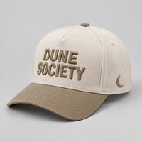 Casquette de baseball 5 panneaux en coton bicolore brodée en 3D avec logo personnalisé, réglable, pour hommes, pour sports de plein air, OEM ODM, vente en gros, usine