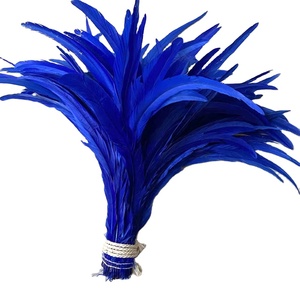 ขายส่ง 40-45 ซม.ย้อมหางไก่ขนไก่ขนไก่สําหรับชุดงานรื่นเริง - Product Image 1