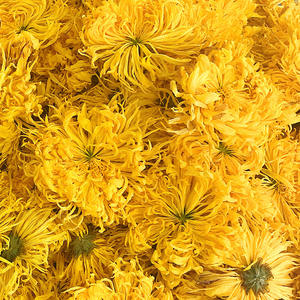 Crisantemo dorato crudo dimagrante tisana alla rinfusa speciale grande fiore giallo all'ingrosso Hotel <span class=keywords><strong>casa</strong></span> da tè Huangshan fonte fabbrica - Product Image 4