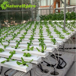 Fábrica que Suministra Sistemas de Cultivo Hidropónico NFT - Product Image 6