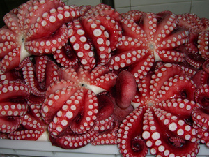 Mariscos Congelados al por Mayor, <span class=keywords><strong>Pulpo</strong></span> Vulgaris del Océano Oriental, Cocido, Entero, envasado IQF, Certificado HACCP/ISO, Listo para Comer, 4-10P/10KG - Product Image 6
