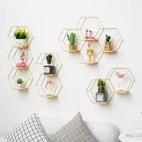 Nordic Multi-functional Custom Simplicity Metal Hexagon Shelves
