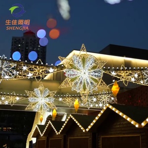 Vente chaude Noël Nouvel An Lumière LED de rue extérieure <span class=keywords><strong>paysagère</strong></span> IP65 à cadre métallique avec télécommande motif flocon de neige - Product Image 1