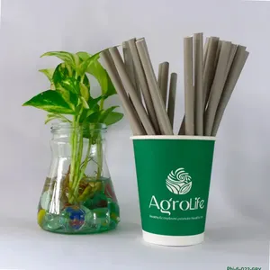 Лидер продаж, питьевые соломинки из 2023 бумаги, изготовленные из сахарного тростника, появились от производителя Вьетнама