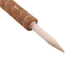Poteaux <span class=keywords><strong>de</strong></span> support en coco empilables Totem Moss pour plantes <span class=keywords><strong>de</strong></span> tomates – Vente directe usine Vietnamienne - Product Image 6
