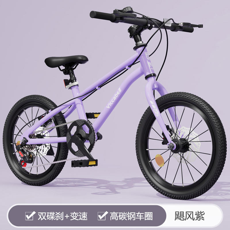 Purple double disc brake speed change