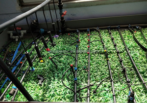 Système de tuyaux d'irrigation goutte à goutte HDPE 16 mm de diamètre personnalisé 1 <span class=keywords><strong>hectare</strong></span> - Product Image 5