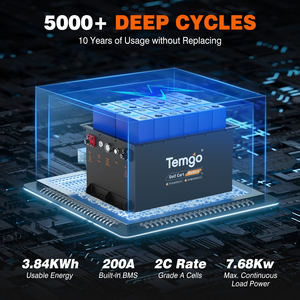 Baterai Golf Cart Lithium TEMGO 38.4 Volt 100Ah LiFePO4 dengan Casing Logam Upgrade Baru 36V, Charger 42.6V 20A, dan Monitor Aplikasi - Product Image 3