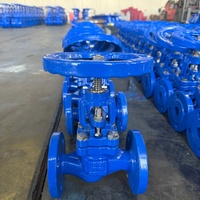 Vanne d'arrêt à bride PN16 DN80 en fonte ductile GGG50 à tige montante pour usine d'eau municipale, directement du fabricant chinois