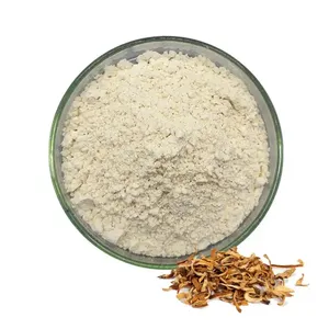 Sweetener NHDC Powder Pure Natural Sweetener Neohesperidin Dihydrochalcon 98% Powder
