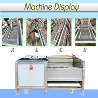 Borstelrolwasmachine voor zeevruchten: schelpjes, garnalen, oesters, aardappel, gember, komkommer, bamboescheuten, yam, ananas