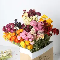 Buquê de flores secas para decoração, bonito buquê de noiva com flores preservadas e decoração de frutas