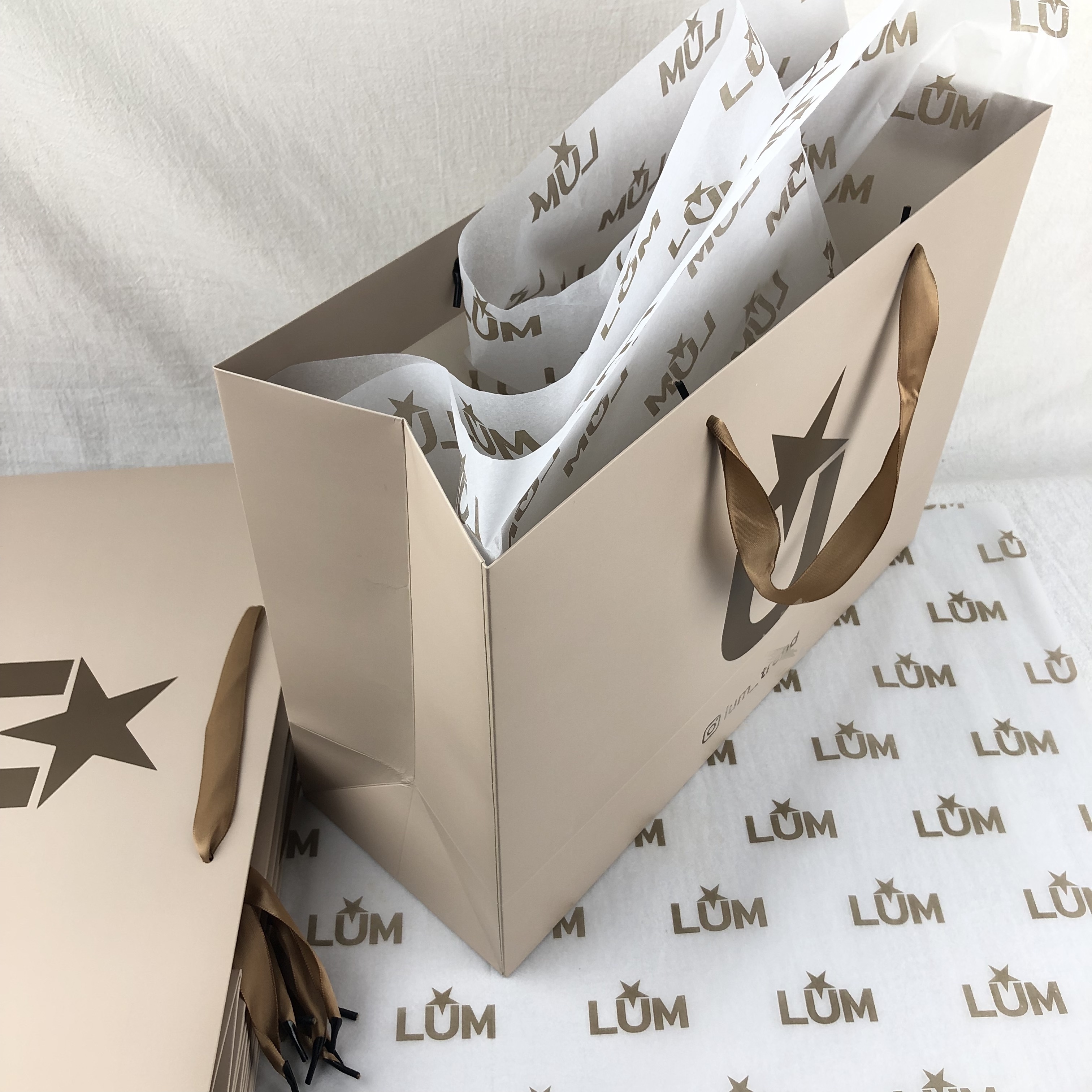 Recyclable Eco-friendly Paper Bags With Your Own Logo Luxury Paper Bag