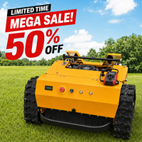 Livraison Gratuite CE EPA Tondeuse Robotisée à Moteur Diesel pour l'Agriculture, sur Chenilles en Caoutchouc, Télécommandée, avec Fraise à Fléaux