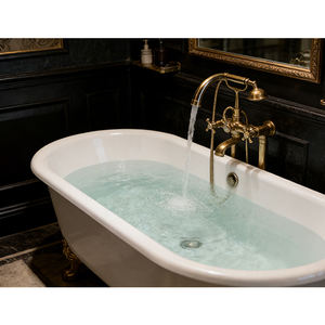 <span class=keywords><strong>Baignoire</strong></span> avec porte et siège, dotée de dispositifs de sécurité, pour personnes âgées et bébés, solution de bain accessible - Product Image 6