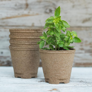 Kit de culture d'herbes aromatiques d'intérieur DIY en pots de tourbe compostables pour rebord de fenêtre, balcon et <span class=keywords><strong>cuisine</strong></span> - Product Image 3