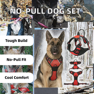 Custom Solid <b>Dog</b> Harness Set Breathable Neoprene Polyester No Pull <b>Dog</b> Leash Arnes Custom <b>Dog</b> Harness Leash Arnes - Product Image 3
