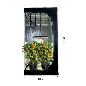 100*100*200cm dẫn phát triển nhà máy ánh sáng ban cộng với 480W trong nhà phát triển hệ thống Lều hoàn chỉnh Kit fabric600d cho các nhà máy phát triển hoa