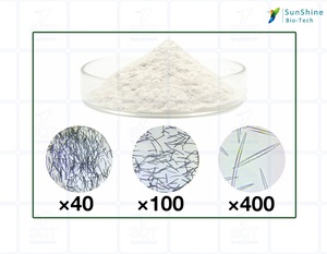 SQT Spongilla Spicule sünger iğne özü için kullanılan cilt yenileme etkili anti-akne tatlı su sünger tozu - Product Image 3