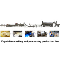 Dezoton Automatische Fruit- en Groenteverwerkingslijn Vortex Wasmachine Watercirculerende Groentewasinstallatie