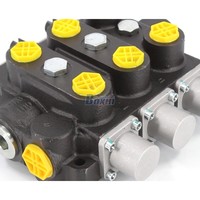 Vanne de commande directionnelle hydraulique en gros 3/4 NPT entrée/sortie RD5300NPT-3OT 3 voies 250 bars