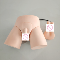 Modelo de práctica de enseñanza de ciencia médica electrónica de PVC DARHMMY para escuelas y hospitales, cateterismo y entrenamiento de enema