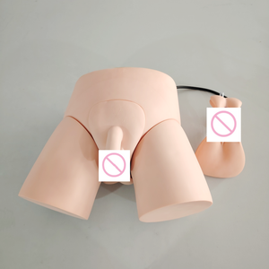 Darhmmy PVC điện tử y tế khoa học thực hành giảng <span class=keywords><strong>d</strong></span>ạy mô hình cho các trường học và bệnh viện ống thông và Enema Đào Tạo - Product Image 3