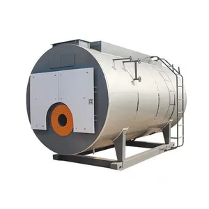 Wns Industriële 1ton 1.5ton 2ton 3ton 4ton 5ton 6ton 8ton 10ton 15ton 20ton Bunker Methaan Gas Gestookte Stoomketel