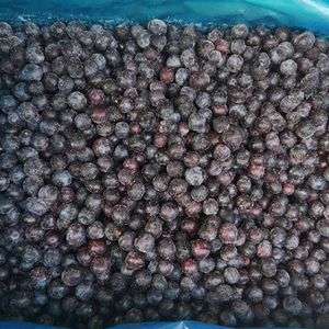 Buen Precio IQF Grosella Negra Alta Calidad IQF Grosella Negra Congelada Orgánica Grosella Negra Congelada - Product Image 4