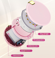 Chauffe-mains électriques portables 4000 mAh avec miroir de maquillage, rechargeables et réutilisables, chauffe-mains électriques de 3 pouces pour l'extérieur